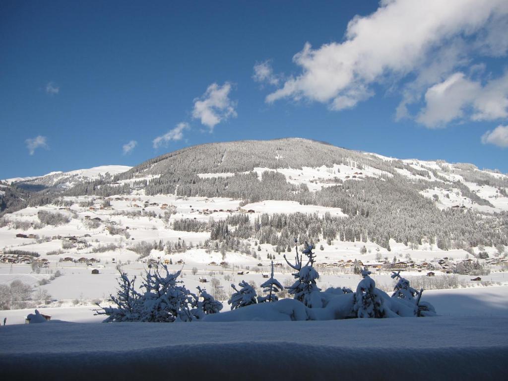 Fasserhof Bramberg am Wildkogel Cameră foto